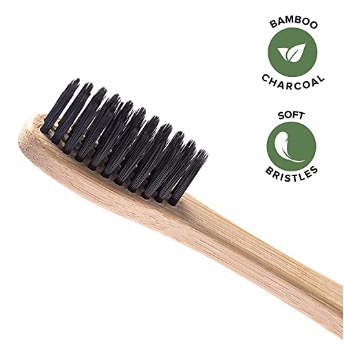 Greenzla Cepillos de Dientes de Bambú (Kit de 12) | cerdas suaves sin BPA | natural y ecológico | Biodegradables y compostables