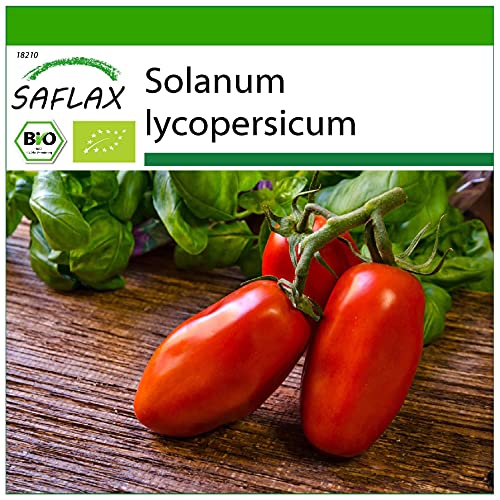 SAFLAX - Ecológico - Tomate - San Marzano - 15 semillas - Solanum lycopersicum