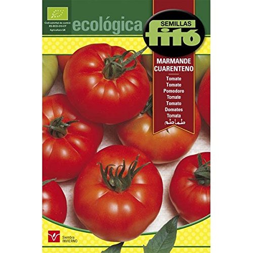 Semillas Ecológicas Fitó 6341 - Tomate Marmande-Cuarenteno