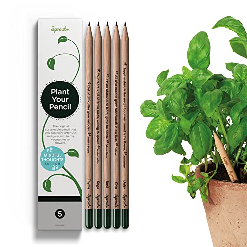 Sprout lápices plantables - Mindful Edition | Pack de 8 lápices de Grafito de Madera Natural | Producto ecológico de lápices con Frases motivadoras